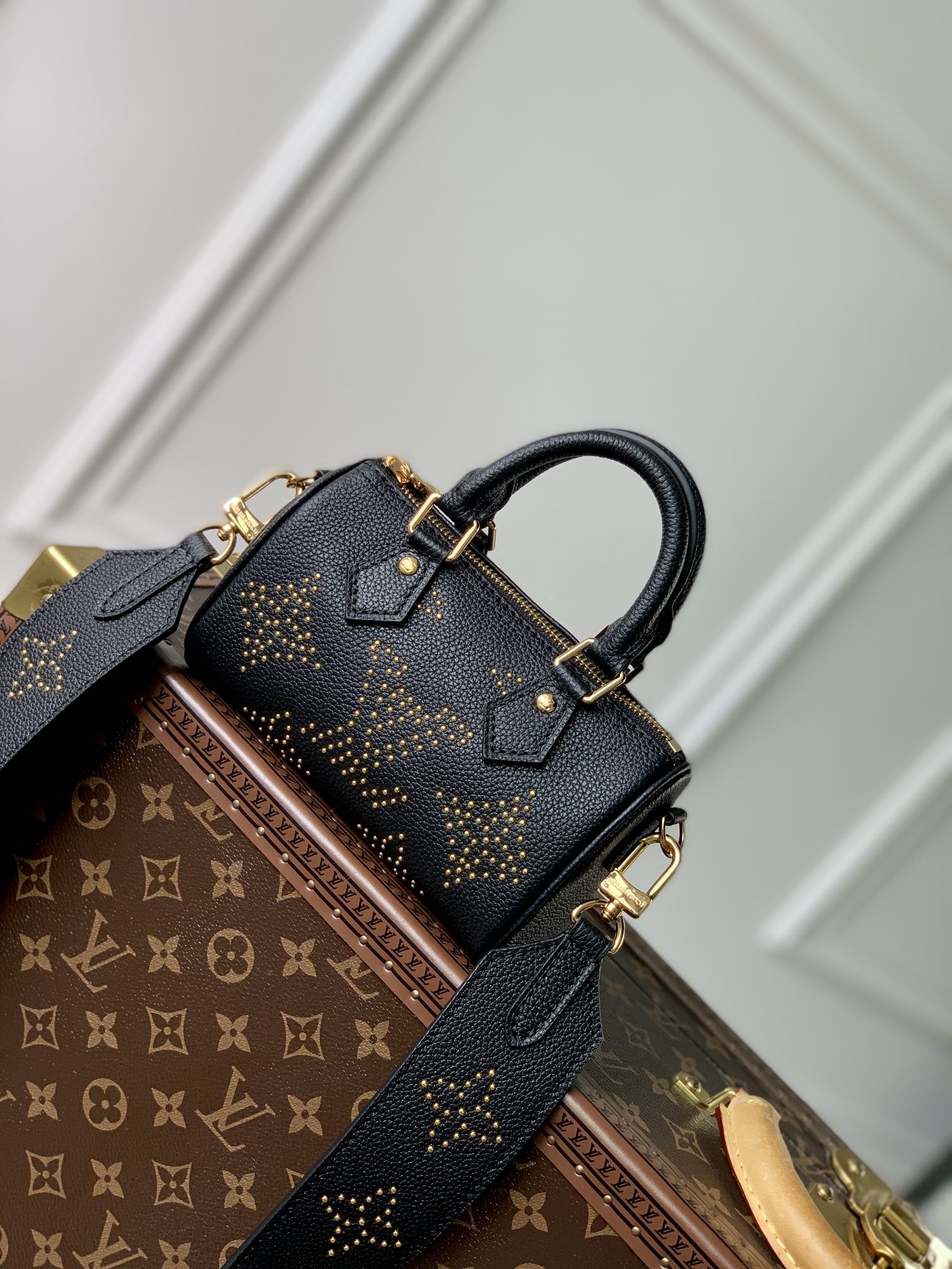 LV Speedy Bags